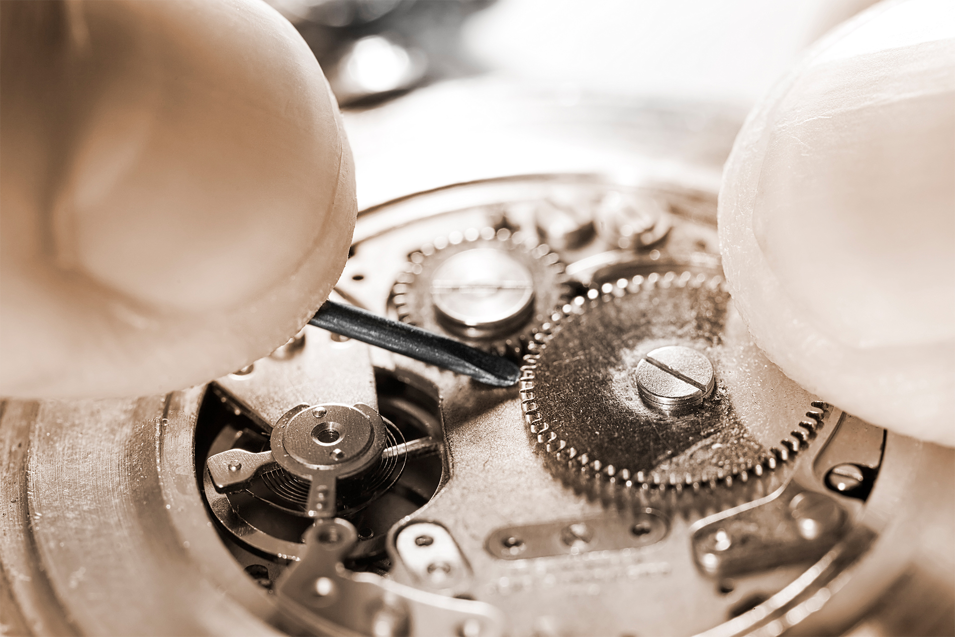 Fundamental Steps for an Annual Business Tune-Up